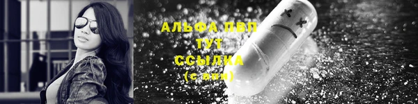 apvp Богородицк