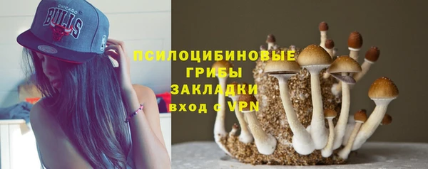 ALPHA PVP Богданович