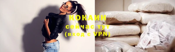 apvp Богородицк